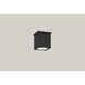 Arena 100 LED 4.33 inch Black Outdoor Ceiling Mount